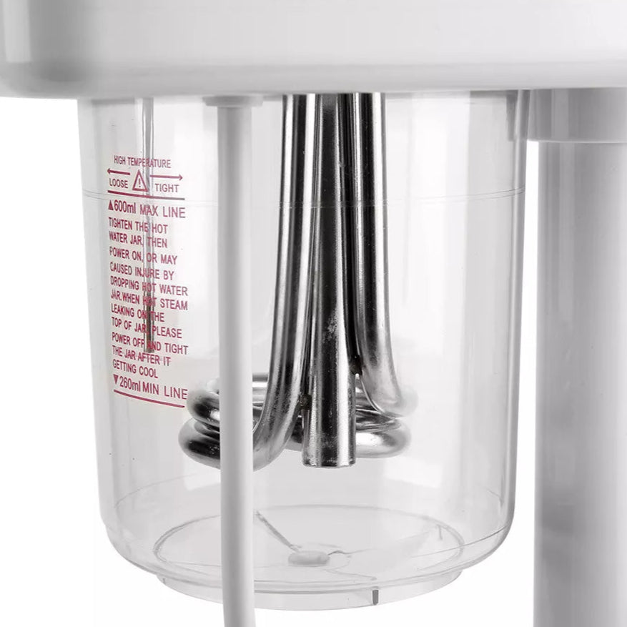 Facial Steamer